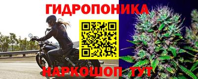 таблы Моздок
