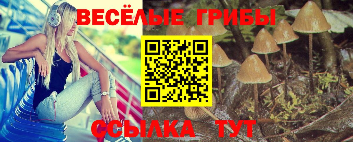 Галлюциногенные грибы Magic Shrooms Хабаровск