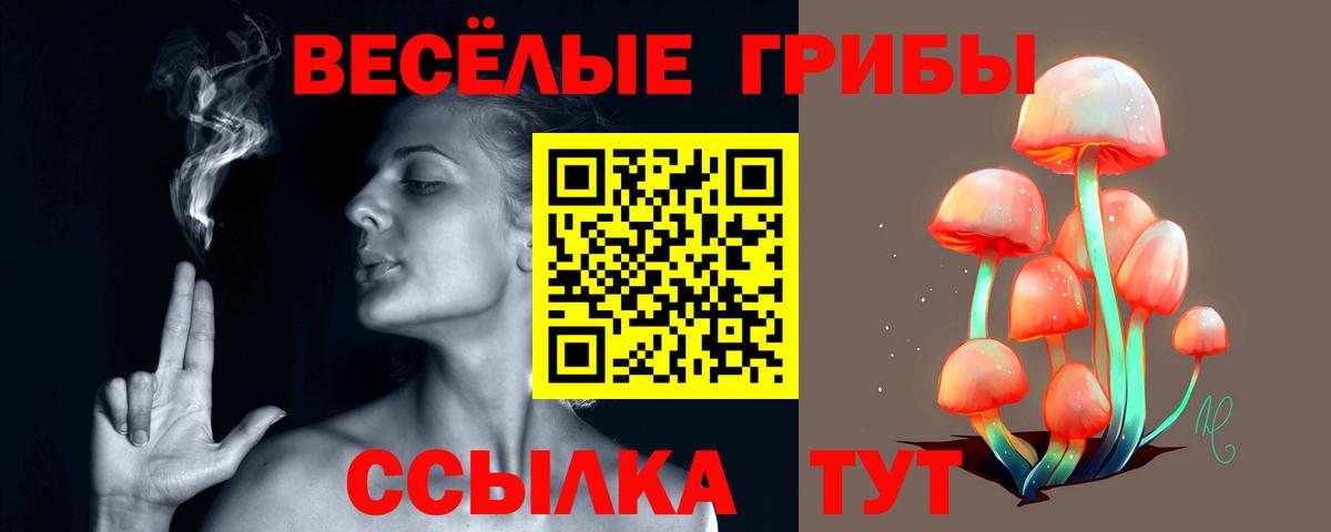 Псилоцибиновые грибы Magic Shrooms  Псилоцибиновые грибы Psilocybe  Хабаровск  Вход с VPN 
